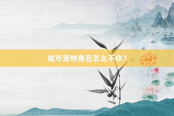 城市宠物身后怎么不休？