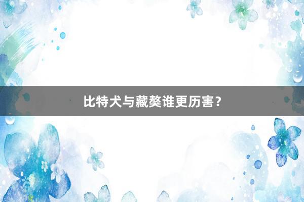 比特犬与藏獒谁更历害？