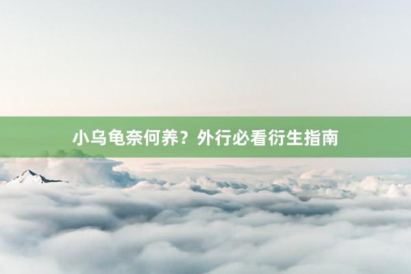 小乌龟奈何养？外行必看衍生指南