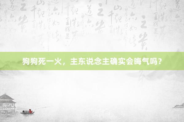 狗狗死一火，主东说念主确实会晦气吗？