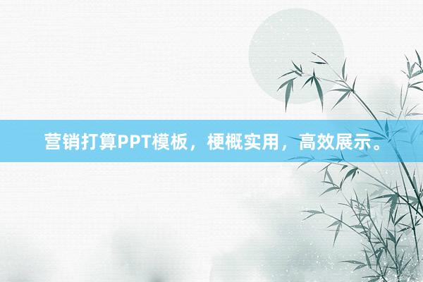 营销打算PPT模板，梗概实用，高效展示。
